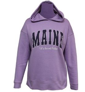 Men's hoody with print  (teddy fleece)